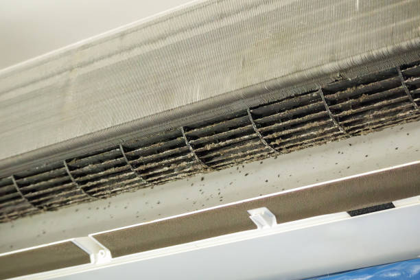 Best Ductwork Cleaning Services  in Coldstream, OH
