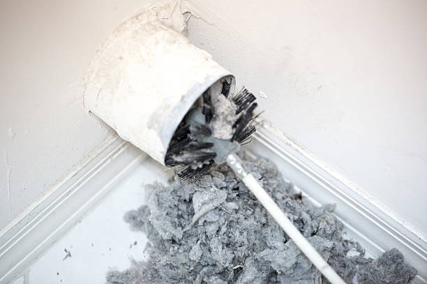 Best Air Vent Cleaning Services  in Coldstream, OH